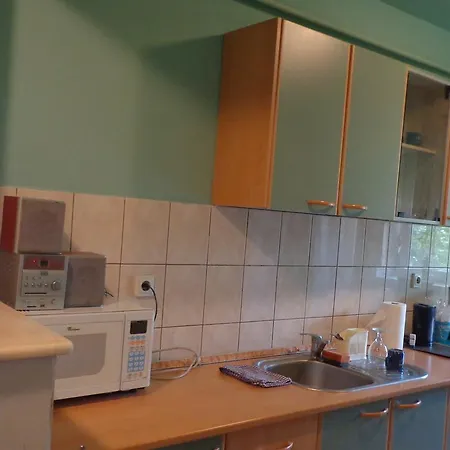 Apartament Zorilor דירה
